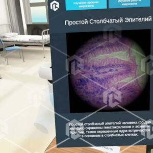 Виртуальный учебный комплекс «Наглядная биология VR» Базовая, К1 — изображение 4