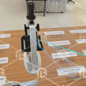 Виртуальный учебный комплекс «Наглядная биология VR» Базовая, К1 — изображение 6