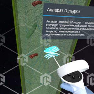 Виртуальный учебный комплекс «Наглядная биология VR» Базовая, К1 — изображение 5