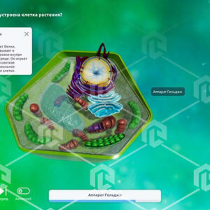 Интерактивное наглядное 3D пособие «Познание: Генетика и селекция» — изображение 5