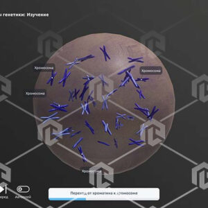 Интерактивное наглядное 3D пособие «Познание: Генетика и селекция» — изображение 4