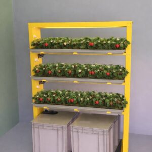 Станция зелени — изображение 8